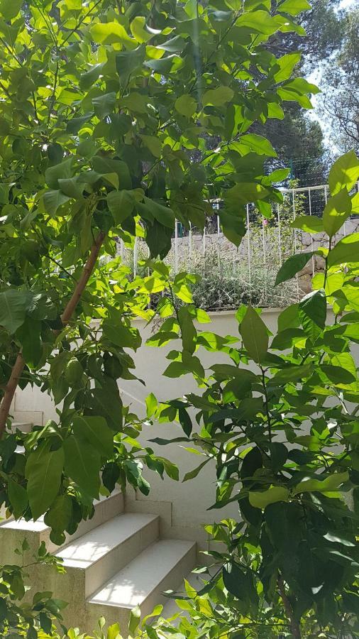 Apartman Di Mali Losinj Luaran gambar